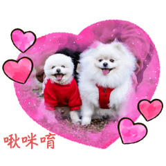 DiDi&克小妞