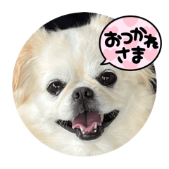 Mei_20250318152321
