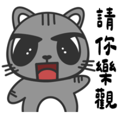 貼心PIPI已上線