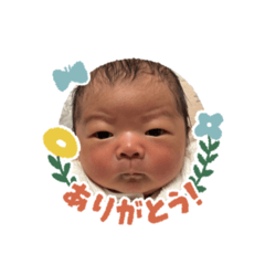 sho_20250318174738
