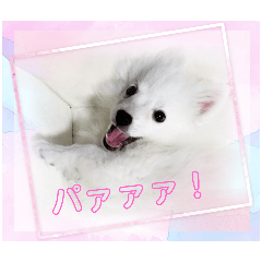 hana_20250318174009