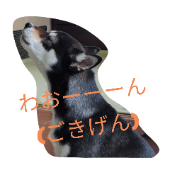 mame_20250318210053