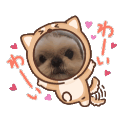 kanna_20250318152413