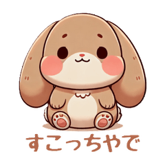 Scotch  Fluffy French Lop