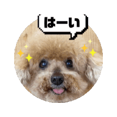 げんきなあんずくんスタンプ