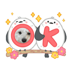 Chika_20250318210440