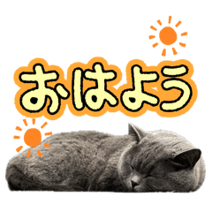 mei_20250318214948