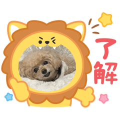 piko_20250318215359