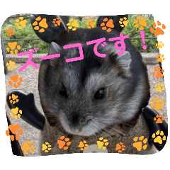 choco_20250318183100