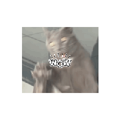 Sticker 2