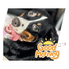 chihiro_20250319012445