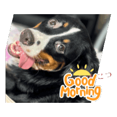 chihiro_20250319010840