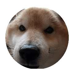 mrtk_20250318220739