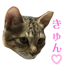 kaori_20250318232720