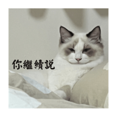 胖Lu、皮皮、Pinky