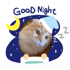 Happy_20250319062413
