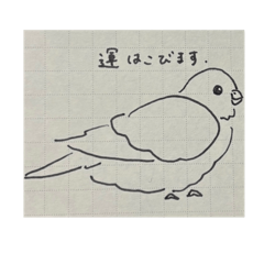 HAPPY ROCK FRIENDS ver.2