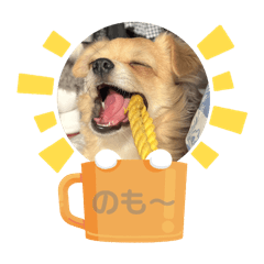 koto_20250318171310