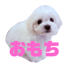 omochi_20250319100923