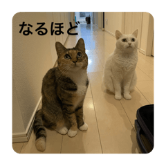 Dan_20250319102458