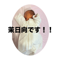 dosue_20250319105101