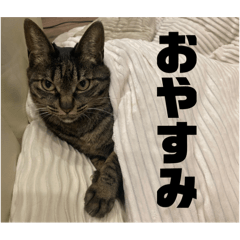 hina_20250319102401