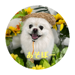 maki_20250318223923