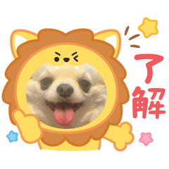 Riko_20250318224952