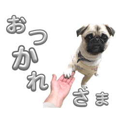 mika_20250318225748