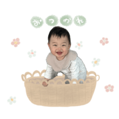 tipupu_20250319124036