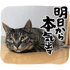 YUKO_20250318225818
