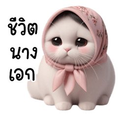 แมวผมบ๊อบโพกหัวกลัวฝุ่น PM v.2