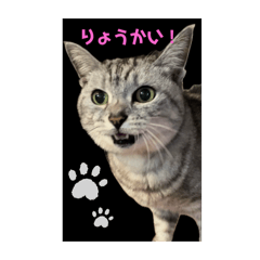 onoken