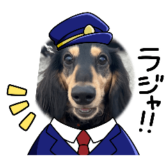 haruharu_20250319001132