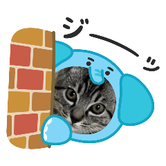 catFirst_20250319002824