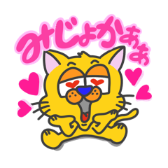 五島弁のきいろ猫