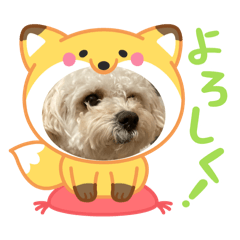 可愛い犬のスタンプは楽しくしました