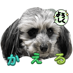 yuki_20250318212132