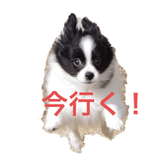 RENren_20250318223715