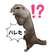 kazuki_20250318233431