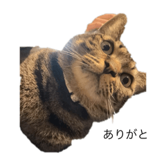 yyy_20250318233527