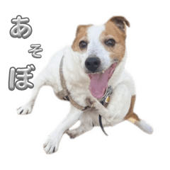 mizuki_20250318155921