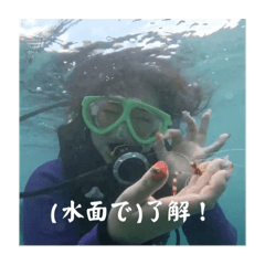 Bee_20250318152856