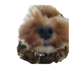39_20250318165036