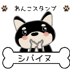 shibainu (Black 1)part1