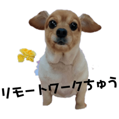 yuuki_20250319113254