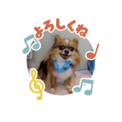 Nana_20250319131912