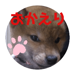 aimi_20250319134308