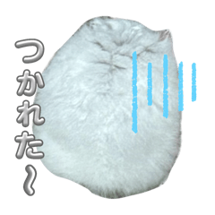 R_20250319135042
