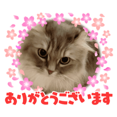 nami_20250319005950
